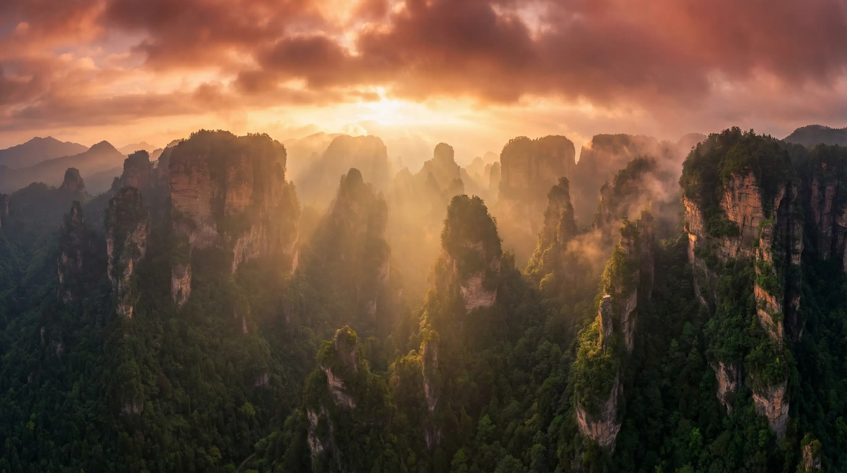胴体的秘密 自然风光视频封面
